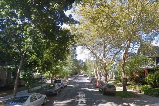 The most tree-lined block in Brooklyn, according to the Treescount